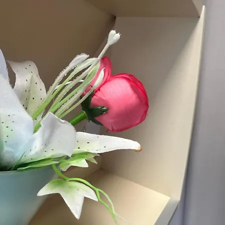 Dimora Apartman Alba