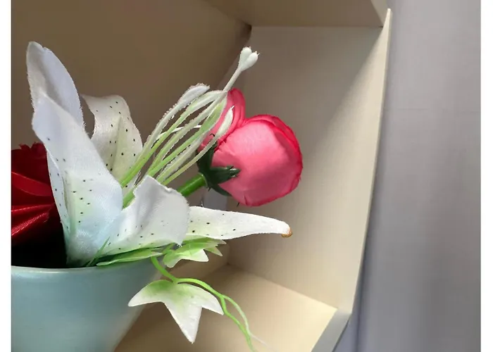 Dimora Apartamento Alba (Piedmont)